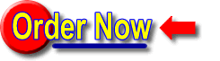 Order Become an Instant Guru Now